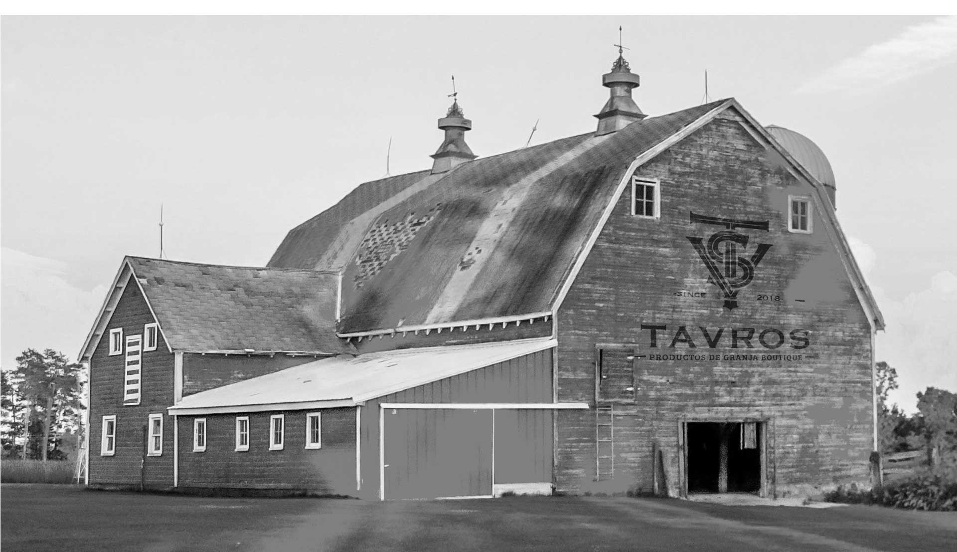 tavros